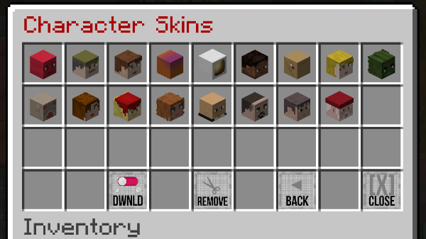 Skin GUI