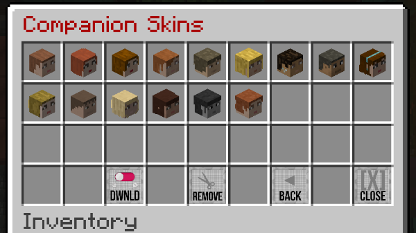 Skin GUI